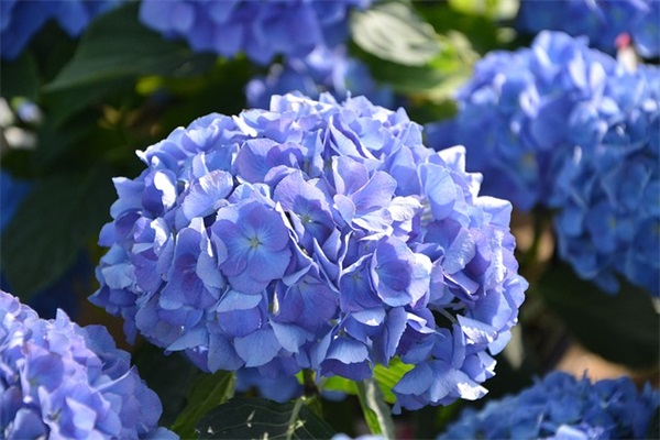 说麻道辣及说麻道辣新概念川菜(温泉店)怎么样？