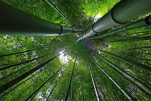 祝贺男人生日的话 祝贺老师生日的话(精选41句) 祝贺男人生日的话 祝贺老师生日的话(精选41句)