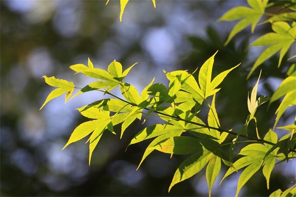 期末老师给孩子们的寄语 【期末老师对孩子说的话】