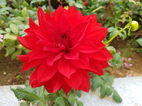 微信二月二龙抬头温馨祝福