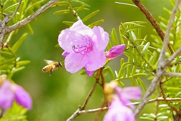 精选六一儿童节祝福短信 精选六一儿童节祝福短信