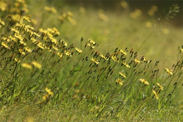 幼儿园毕业学生寄语老师的话 【幼儿园毕业时老师寄语】
