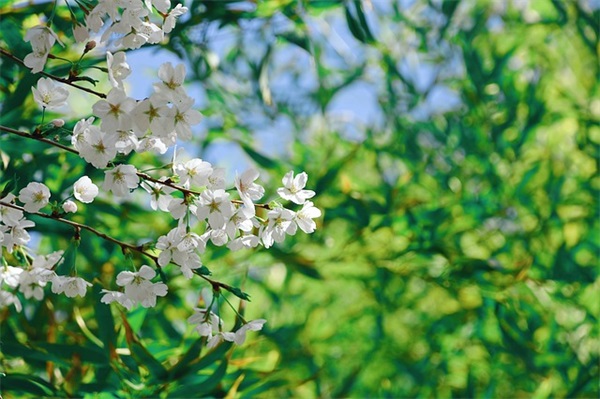 幼儿园毕业寄语简短感人的话-100句 幼儿园毕业寄语简短感人的话-100句