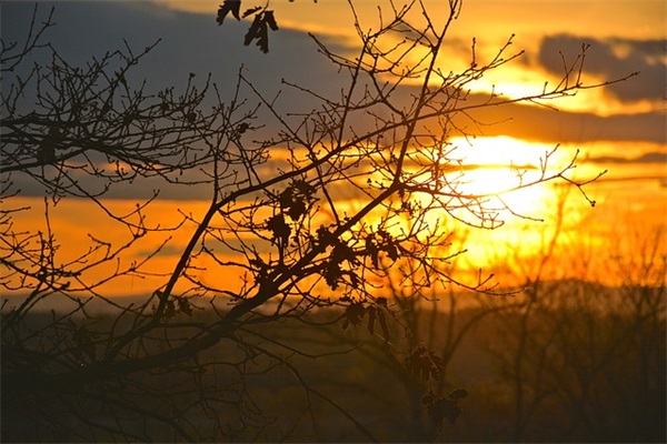 儿女对父母寄语怎么写-100句