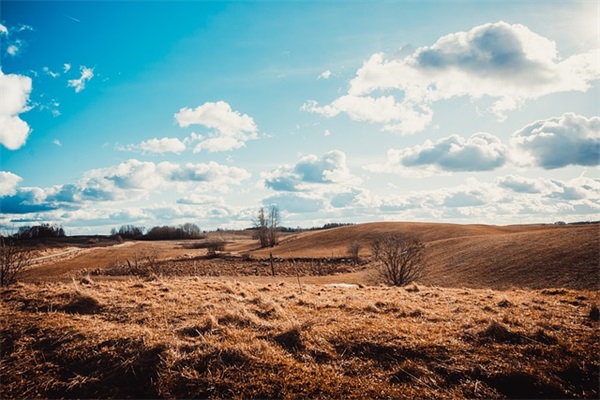 父母对孩子暑假寄语-100句