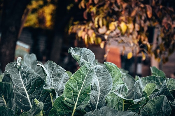 一年级怎么写家长寄语-100句