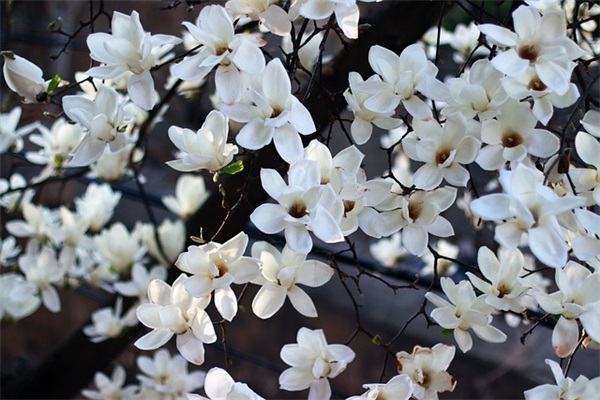 爸妈给孩子的毕业寄语-100句