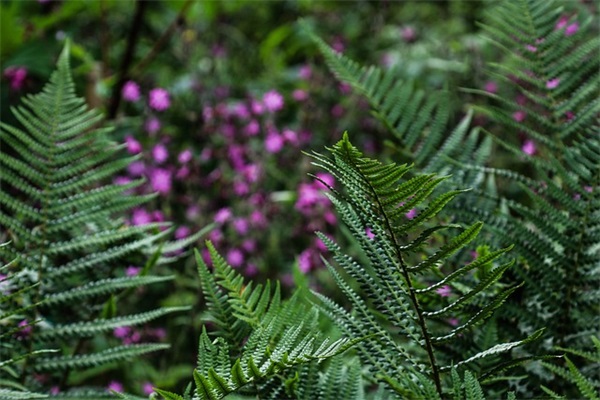 写给语文老师的毕业寄语简短-100句