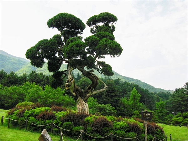 活力在基层范例6篇 活力在基层范例6篇