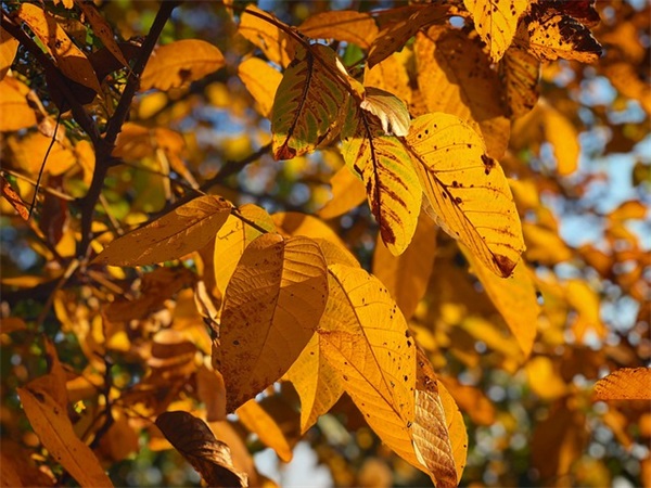 非主流短语 非主流字体短语