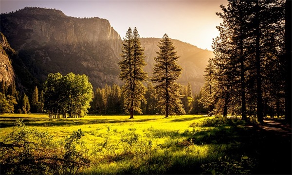 给女友的晚安短语 给女友的晚安问候短信