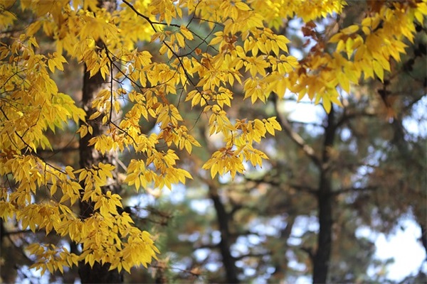安慰朋友心情不好的话97句