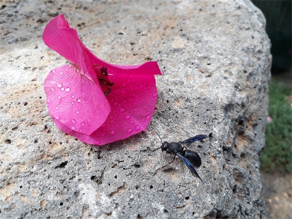 带婉和雨字的网名 带婉和雨字的网名