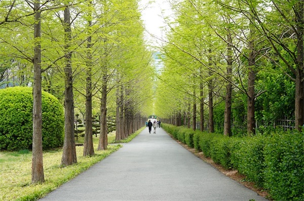 平安夜搞笑祝福87句