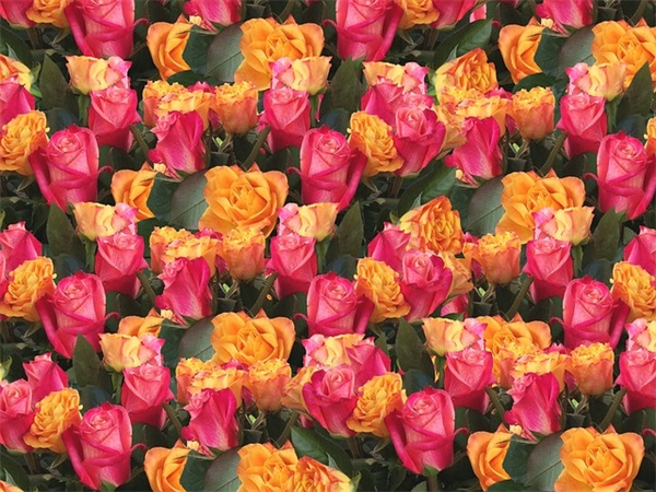 中秋节快乐86句