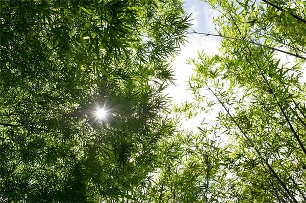 搞笑却蕴含哲理的句子 搞笑带哲理的流氓句子