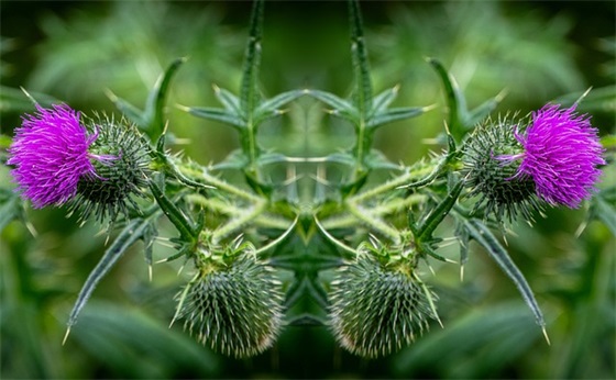 感叹时光匆匆的句子 感慨时间飞快的句子