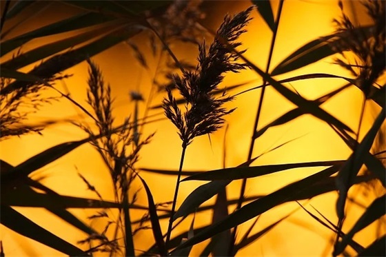 夫妻一起经历风雨过后幸福的说说