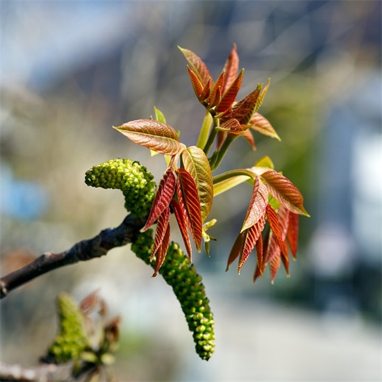 不懂珍惜的句子67句 不懂珍惜的句子67句