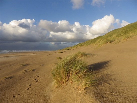 关于最新伤感古典句子78句 关于最新伤感古典句子78句