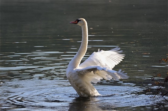 跨年创意文案走心句子 2025跨年创意文案 跨年创意文案走心句子 2025跨年创意文案