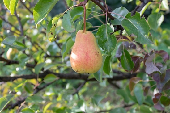 表达被感情伤的句子 表达被感情伤的句子