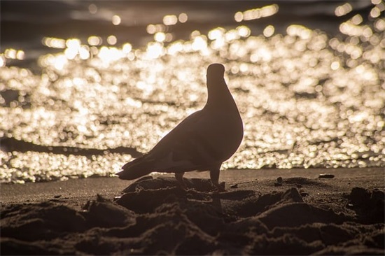 激励人生充满正能量的句子及感悟 激励人生充满正能量的句子及感悟