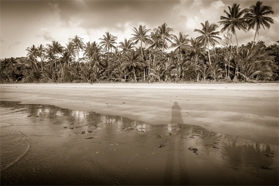 可以做网名的书名(精选120个)