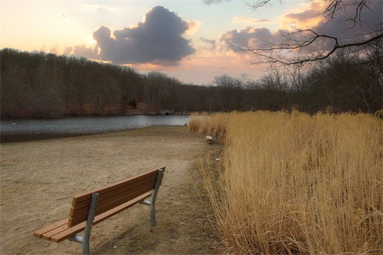 两个字野性女生网名