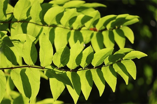 励志人生的句子 励志人生哲理的句子 励志人生的句子 励志人生哲理的句子