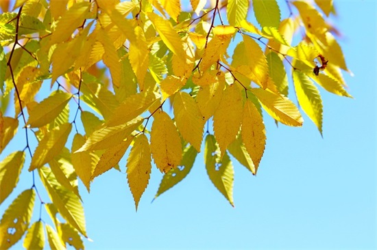 关于酒的句子82句 关于酒的句子82句