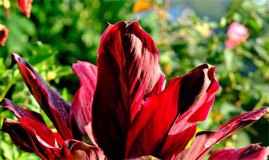 2025年最后一天句子 2025年最后一天句子