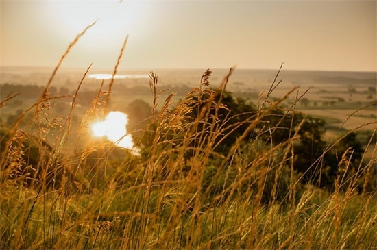对朋友励志的句子 对朋友励志的句子