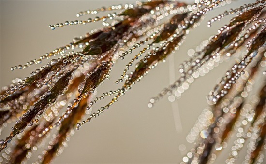 给人感觉特别霸气的句子 给人感觉特别霸气的句子