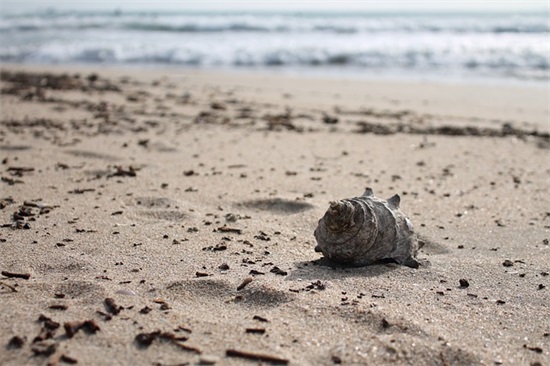 四年级下册仿写句子大全及答案