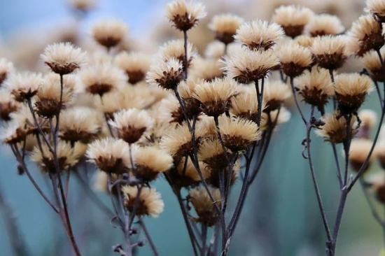 回忆往事的个性句子 回忆往事的字句子