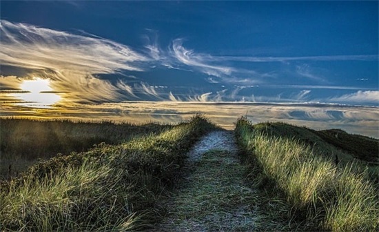 关于寒露心情的优美祝福句子 关于寒露心情的优美祝福句子