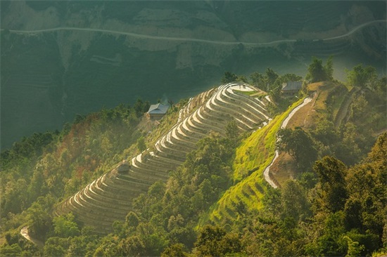 赞美白衣天使的句子