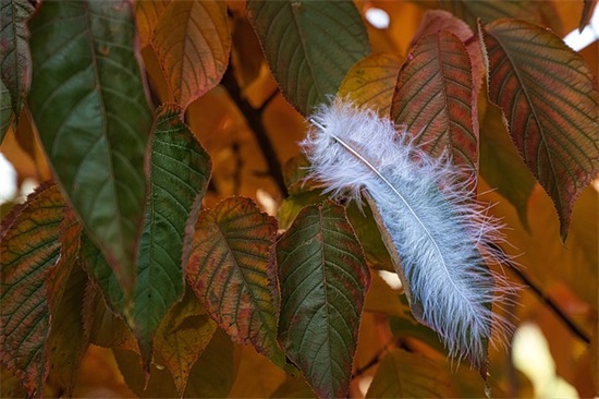 2025的晚安优美心语句子