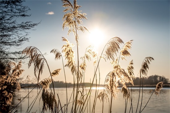 家居服文案吸引人的句子