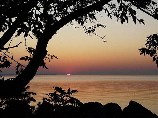 监控系统设计方案