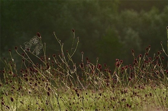 环保达标证明 环保达标证明