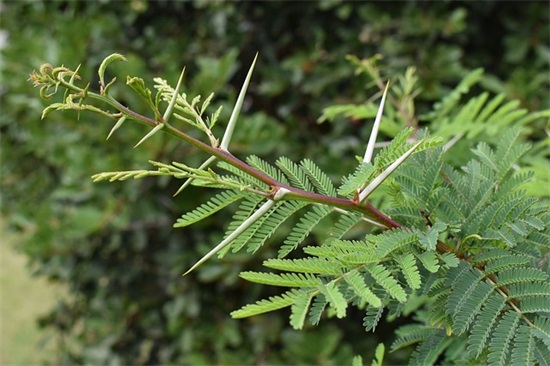 电能质量分析 电能质量分析