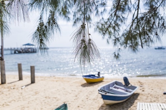 小学语文拼音教案模板范文(12篇)