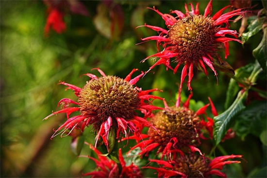 飞机机务维修工作总结（通用12篇）