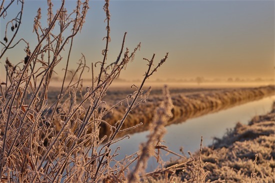 毕业论文致谢范文500字（通用27篇）