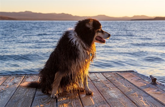 新学期孩子寄语-98句