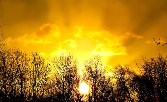 家长对小朋友的寄语大全简短的 【家长对小盆友寄语】