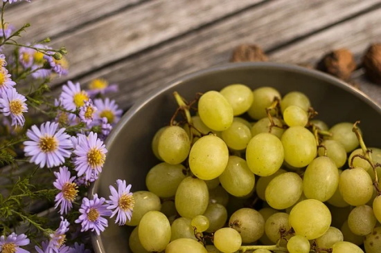 英文带翻译的小清新网名(精选104个)