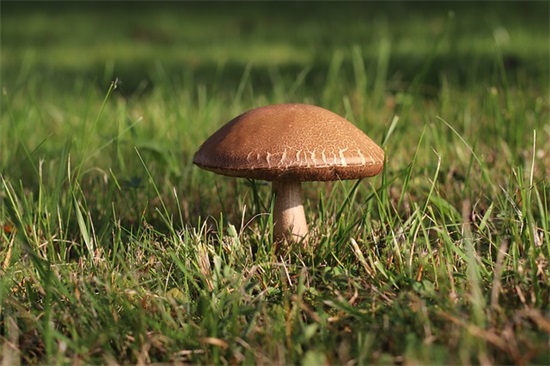 优选前面加什么好听 好物优选店铺名称